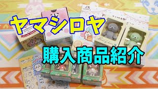 20210429上野の玩具屋ヤマシロヤで購入した物紹介！　Introducing items purchased at Yamashiroya, a toy store in Ueno!
