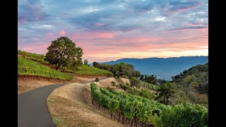 2700 Nelligan Road, Glen Ellen  CA | The Shone Group