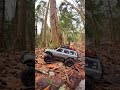 Fms Fcx18 LC80 Toyota Land Cruiser. Making a new trail #fms #fcx18 #fairrc #rcscale #rcshorts #rcfun