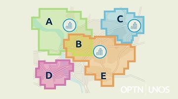 Geography in Organ Distribution
