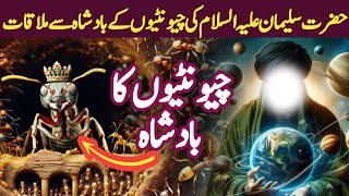 Hazrat Suleiman As Ki Chiyuntiun Ke Sardar Se Mulaqat Ⅰ Harzat Suleman AS Ka Waqia