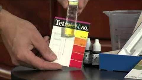 How to Test Your Aquarium Water | LiveAquaria.com