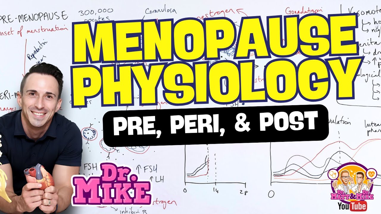 Menopause Physiology | Pre, Peri, and Post-Menopause