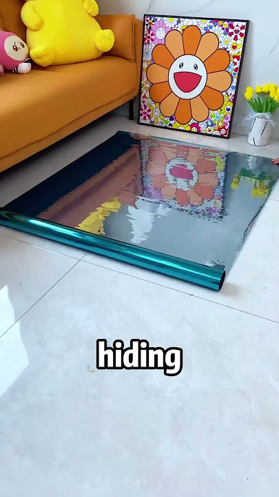 Window Film for Instant Privacy