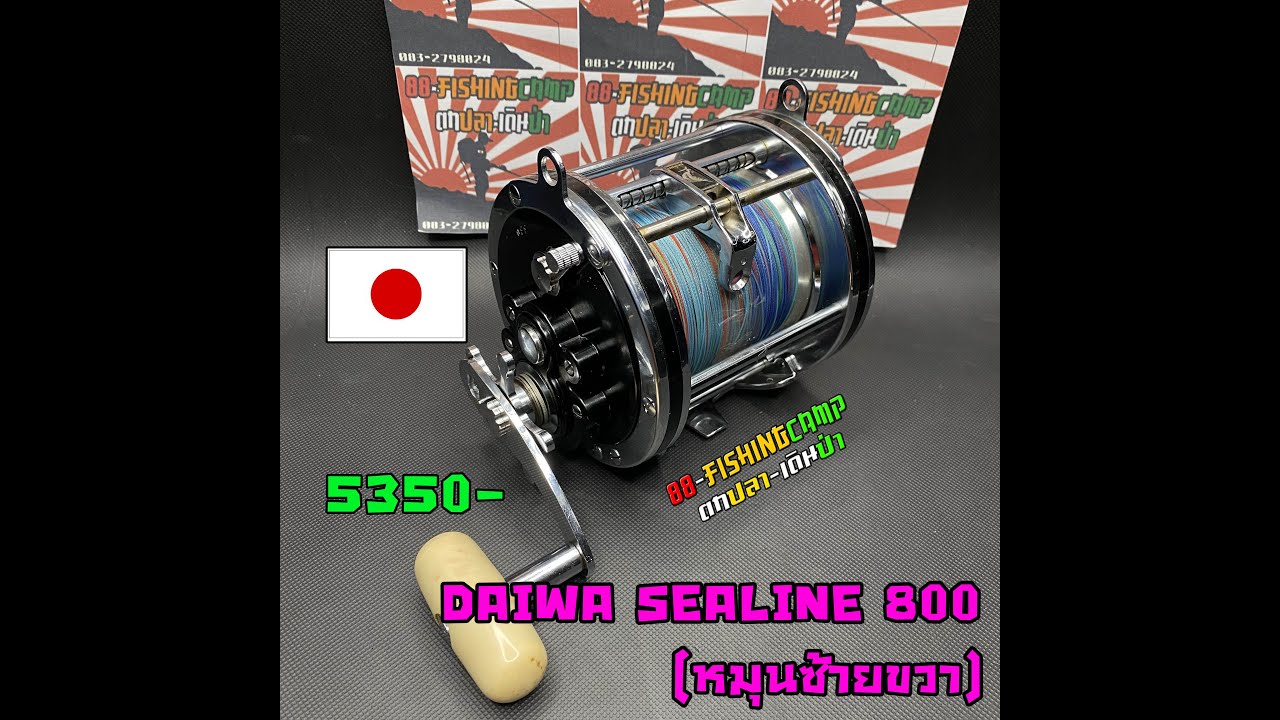 Daiwa SeaLine 800 ダイワ シーライン 800 【公式通販】