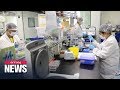 Chinese scientists says COVID-19/coronavirus could have originated from government ...