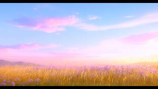 April Meadow Screensaver | Spring Sunrise Background & Playlist | Nature Sounds Ambience | 3 Hours