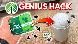 I Put Irish Spring Soap In A Trash Can (GENIUS Porch Hack!)