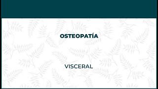 Osteopatía Visceral - FisioClinics Logroño, La Rioja by FisioClinics Logroño 2,087 views 4 years ago 2 minutes, 24 seconds