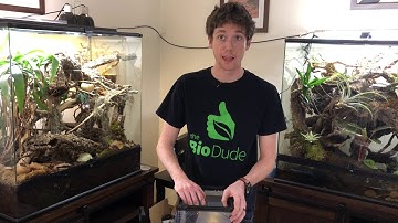 Terra Aranea Bioactive Tarantula