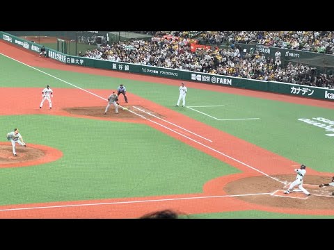 すぐに逆転！2回裏 柘植世那 逆転2点タイムリー2ベース！【西武vs阪神】2023/6/1セ・パ交流戦3戦目