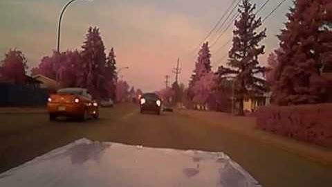 DUMBASS IN A FORD