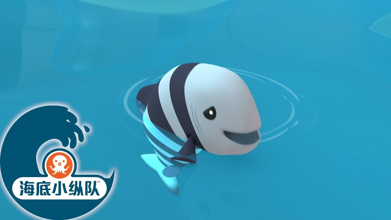 海底小纵队 - 顽皮的强盗鱼 | 海底探险