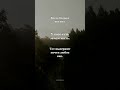 Ницше: когда больше нет сил #shorts