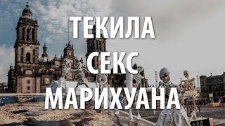 Текила, секс, марихуана Текила, секс, марихуана