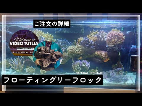 特許登録済み 巨大なライブロックを浮かせる！フローティングリーフ