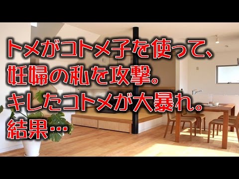 【衝撃の修羅場体験】トメがコトメ子を使って、妊婦の私を攻撃。キレたコトメが大暴れ。結果…