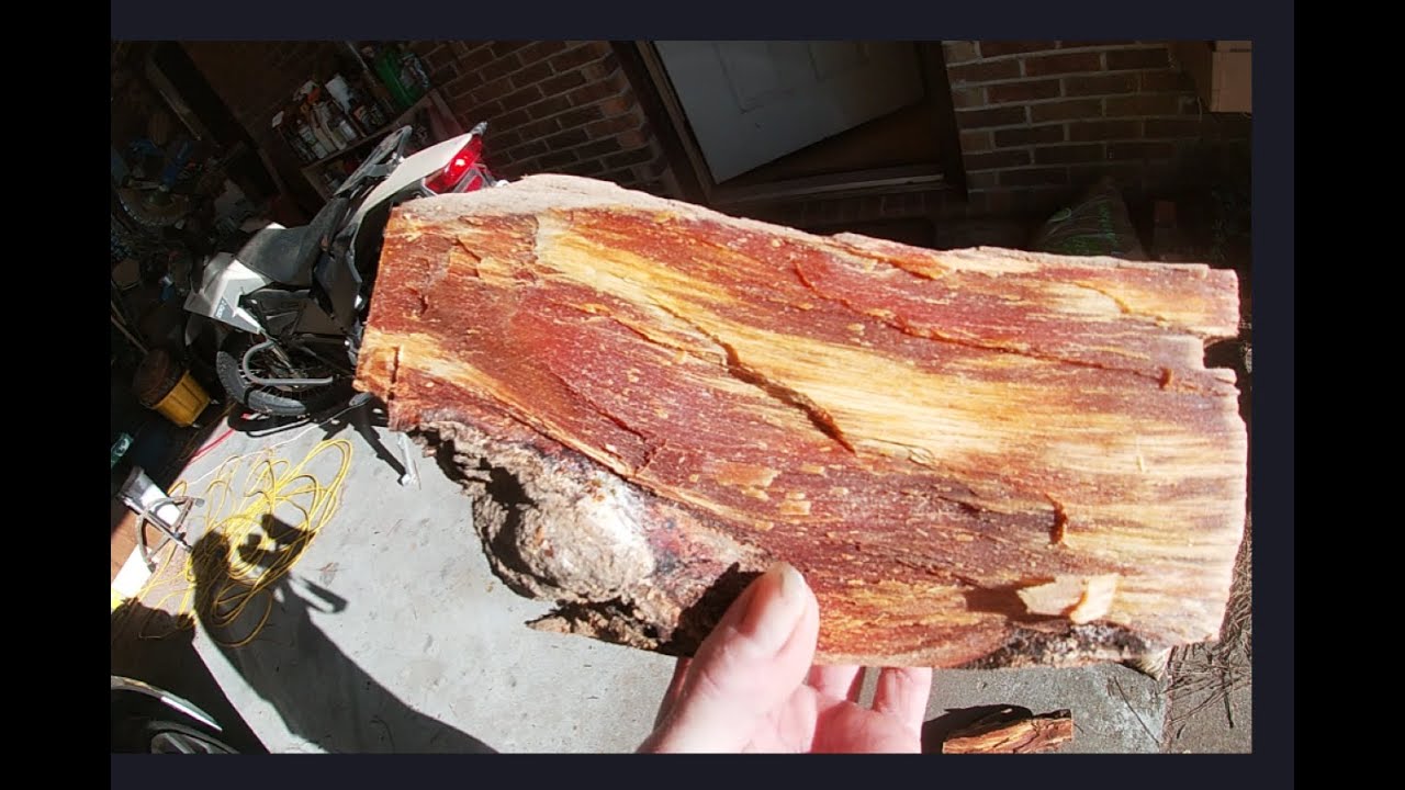 Fatwood is Beautiful