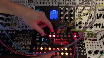 Eloquencer_v1.3.2_Live CV Editing