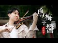 你淺淺的微笑就像《烏梅子醬》小提琴版