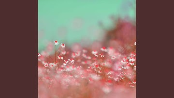 Opulent Backdrops for Hard Working Days