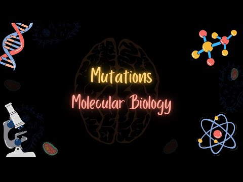 Mutations types and causes - الطفرات أنواعها ومسبباتها - Molecular Biology - تعلم بالعربي