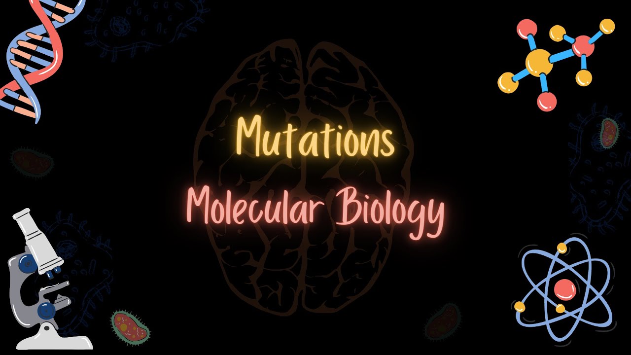 Mutations types and causes - الطفرات أنواعها ومسبباتها - Molecular Biology - تعلم بالعربي
