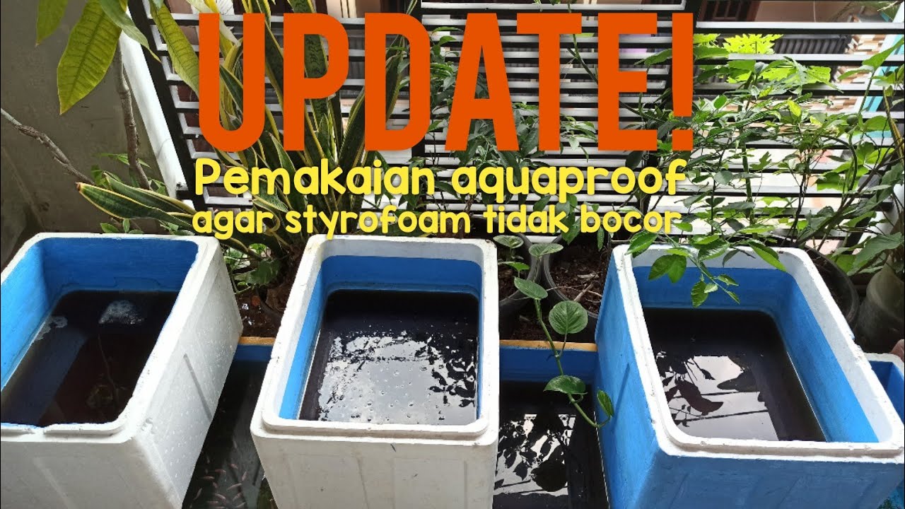 Update pemakaian aquaproof untuk box styrofoam agar tidak bocor