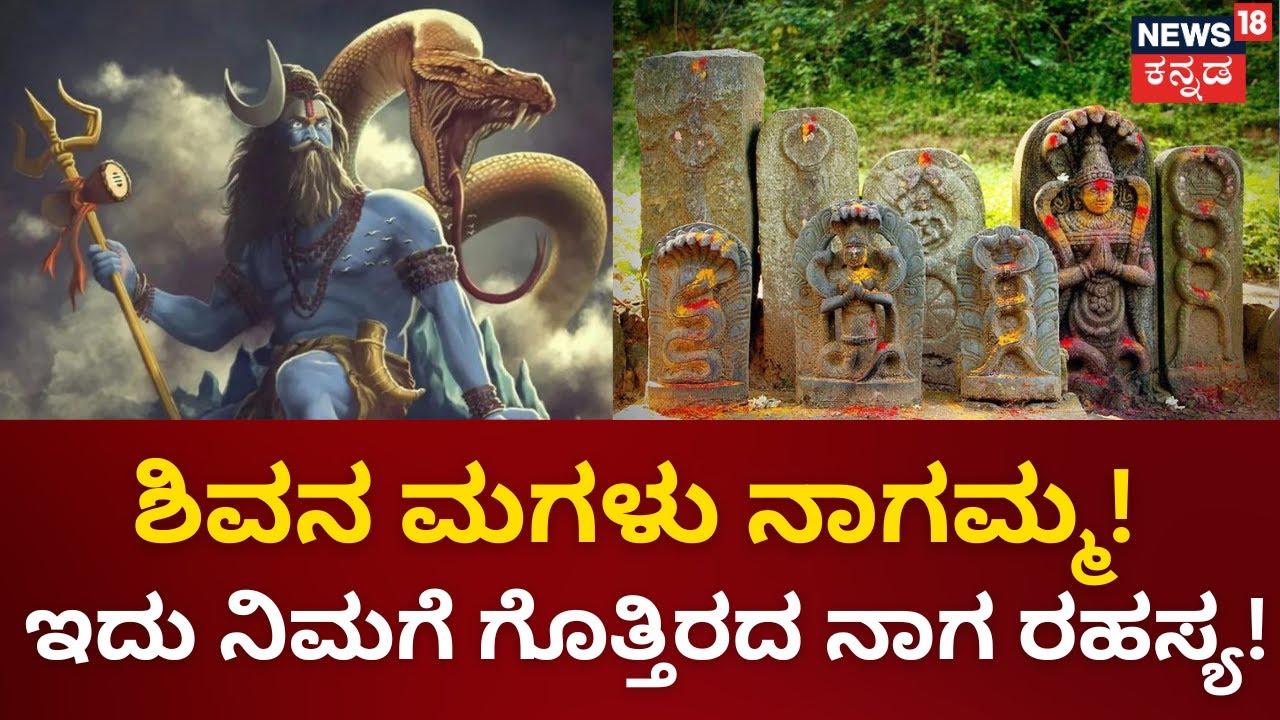 Naga Pratishta | ನೀವು ಪೂಜೆ ಮಾಡುವ ನಾಗರ ಕಲ್ಲಿನ ಈ ರಹಸ್ಯ ನಿಮಗೆ ಗೊತ್ತಾ? | Shiva Naga | Mahime | News18