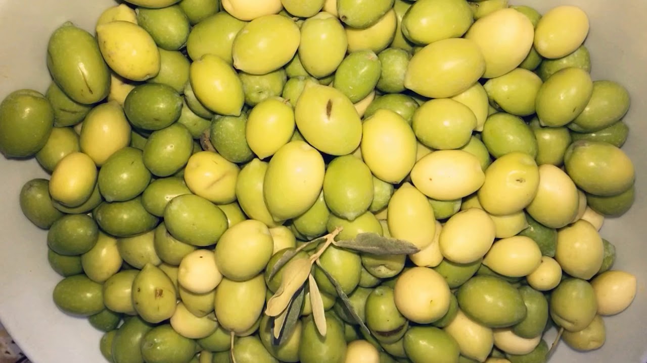 Egyptian marinated pickled olives YouTube