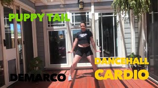 Puppy Tail|| Demarco|| Dancehall Cardio Choreography