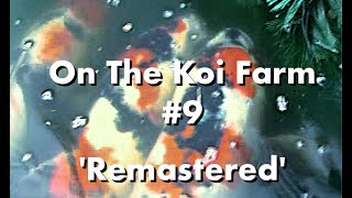 On The Koi Farm #9   Remastered