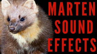 WHAT IS SOUND OF MARTEN - Marten Sound Effects | maktub_ytv