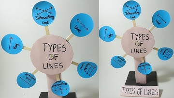 Types of line TLM | Maths working model | Maths project | Maths TLM | Math project ideas for school