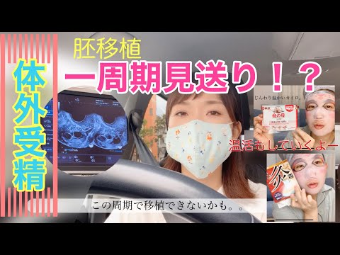 【2人目不妊】〜不妊治療・体外受精の経過報告〜胚移植一周期見送り！？最近体温が低いから温活をしよう。お灸もするよ！【妊活Vlog】