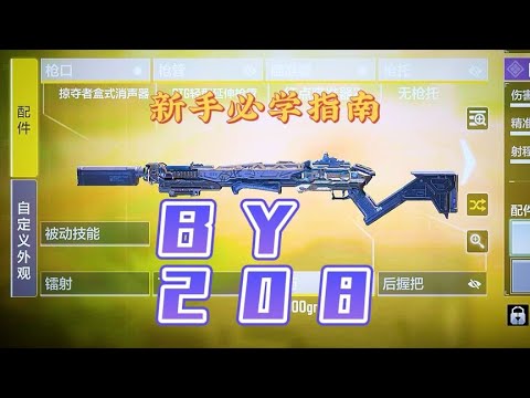没有by208这把枪，就是装了独头弹的BY15【小开老师】