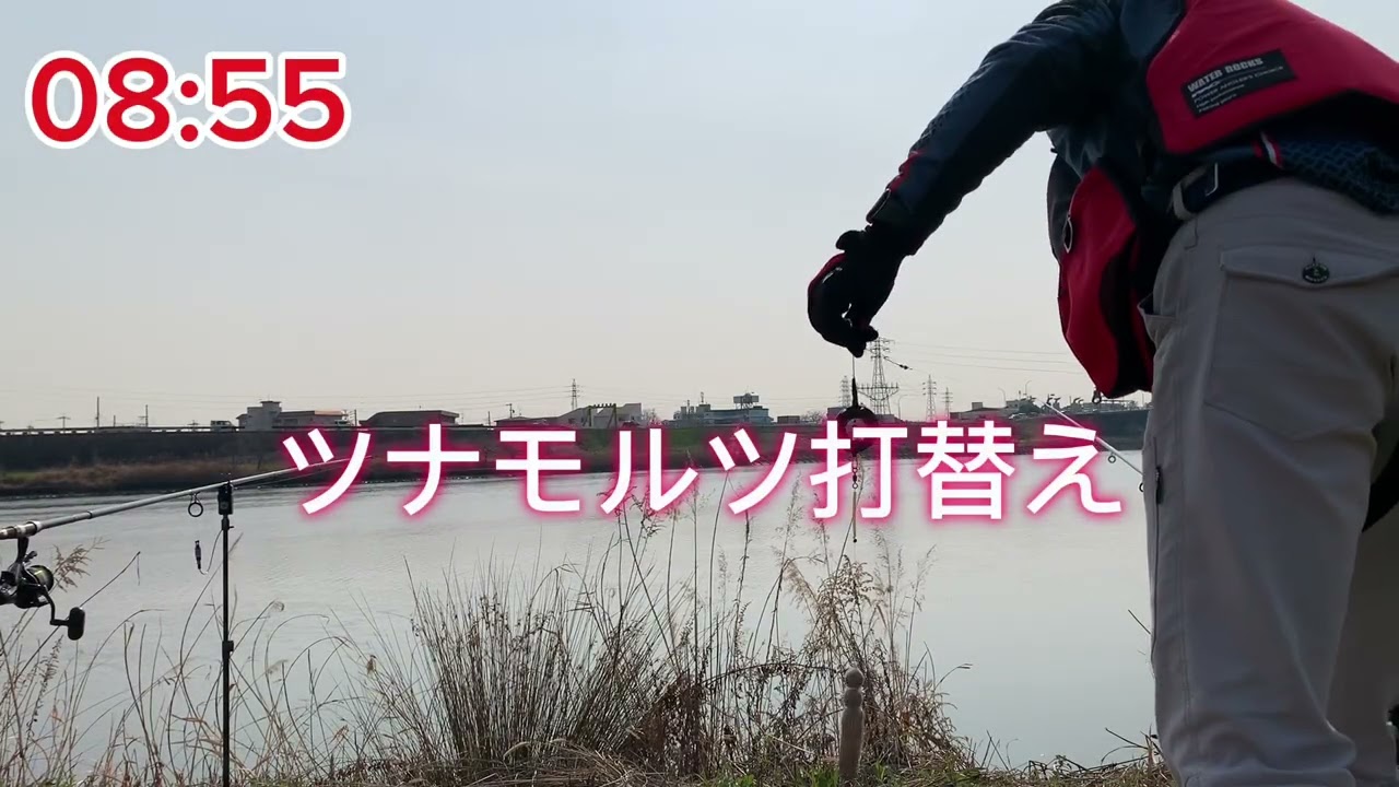 MDカープ105／SY3ポイント  中潮の引きでツナモルツが初めての82cm釣果！やったー😅と思ったら⁉︎85cmが連続ヒットにあたふた🤭鯉ちゃん達ありがとねー😋【鯉釣り】【カープフィッシング】