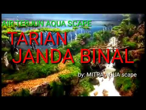 AIR TERJUN TARIAN si JANDA BINAL