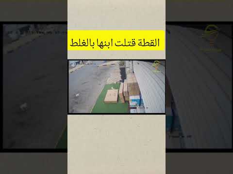 ما أصعب أن تكون سببا في قتل ابنك 