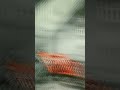 GG teleport