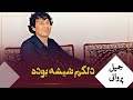جمیل پروانی آهنگ دلکم شیشته بوده    