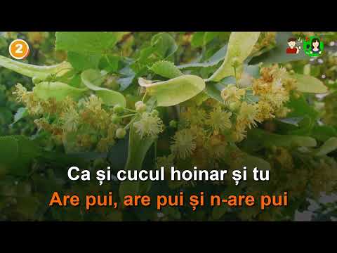 Ion Suruceanu - Ce seară minunată