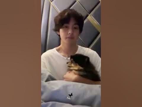 taehyung with Yeontan Live ?/ btsv Tamil edits/ btsv live # btsv # ...