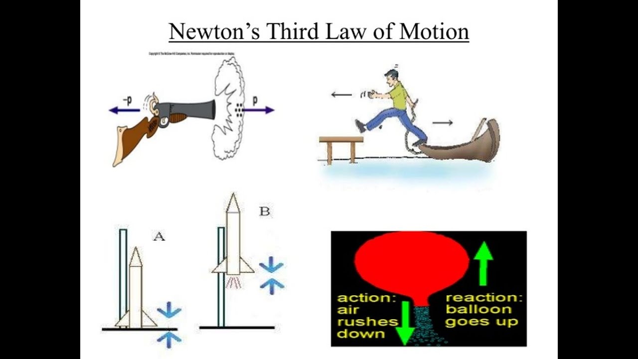 Newton's Third Law of Motion | Galileo | Laws of Motion | Physics - YouTube
