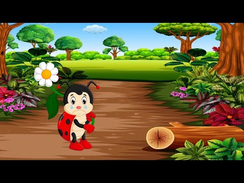 ჭიამაიას დედა დაეკარგა