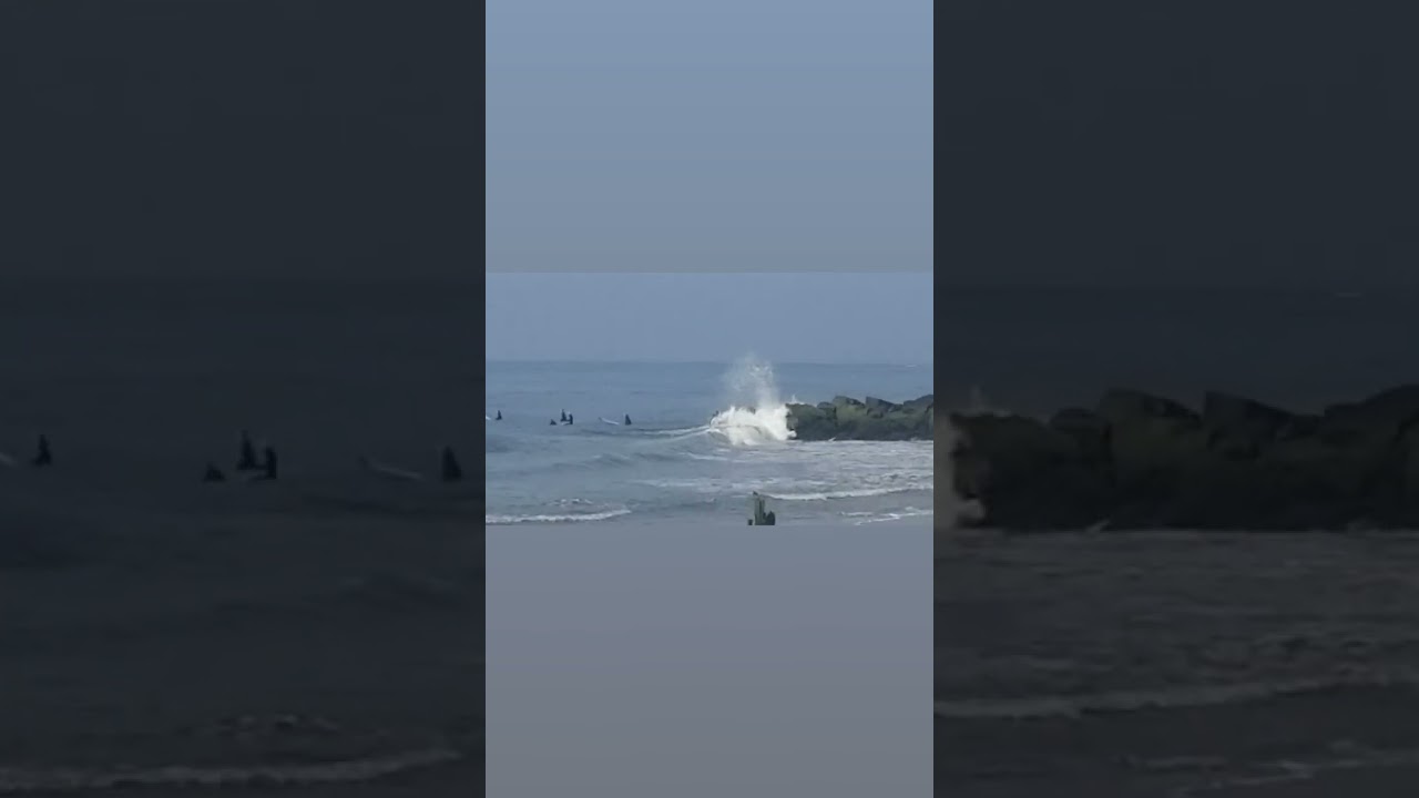 Rockaway Beach Whale Breach 8ish am May 31, 2023