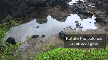 Quick Tip: Removing Glare with a Circular Polarizer
