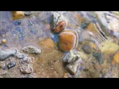 Wideo: Z czego składa się skała rzeczna?