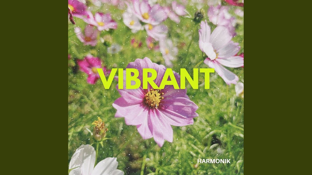 Watch Vibrant on YouTube Watch Vibrant on YouTube
