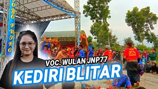 KEDIRI BLITAR ( VOC.WULAN JNP77 ) Versi Jaranan NEW WIJOYO PUTRO Live BOJONEGORO SHAFIRA AUDIO PRO